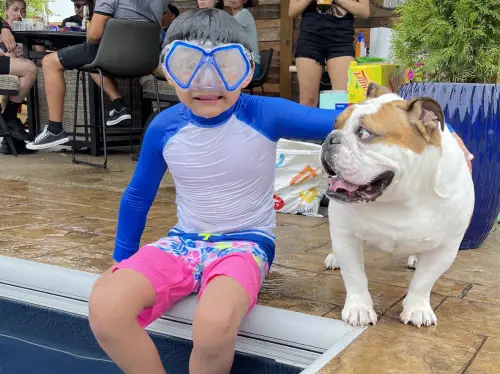 A little boy sitting next to a dog.